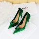 Women's High Heels Pointed Toe Vlevet Dress Shoes Pumps
